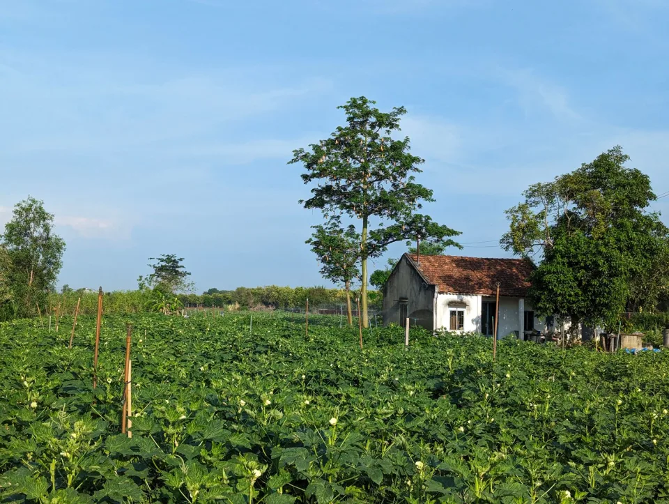 Vật tư thiết yếu cho nhà vườn